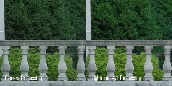 As you can see, with Adobe Lightroom 4.1, there's a lack of definition in the fine detail that the camera-processing of the RAW files handles so easily.