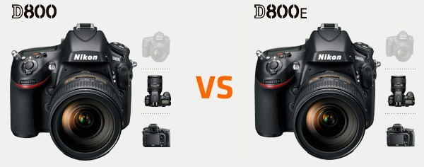 Nikon D800 vs Nikon D800E – Choosing The Right One - Photography Gear